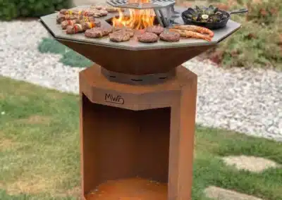 Plancha MWD feu au bois - jardin - été - barbecue - Wallonie