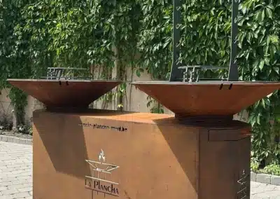 Double Plancha MWD feu au bois - jardin - été - barbecue - Wallonie