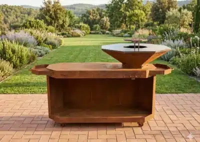 Plancha MWD feu au bois - jardin - été - barbecue - Wallonie