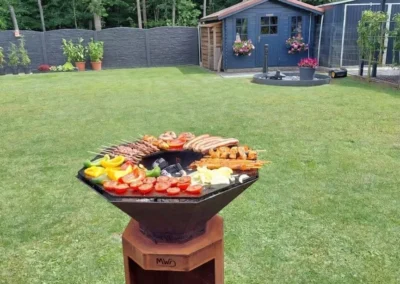 Planchita MWD feu au bois - jardin - été - barbecue - Wallonie